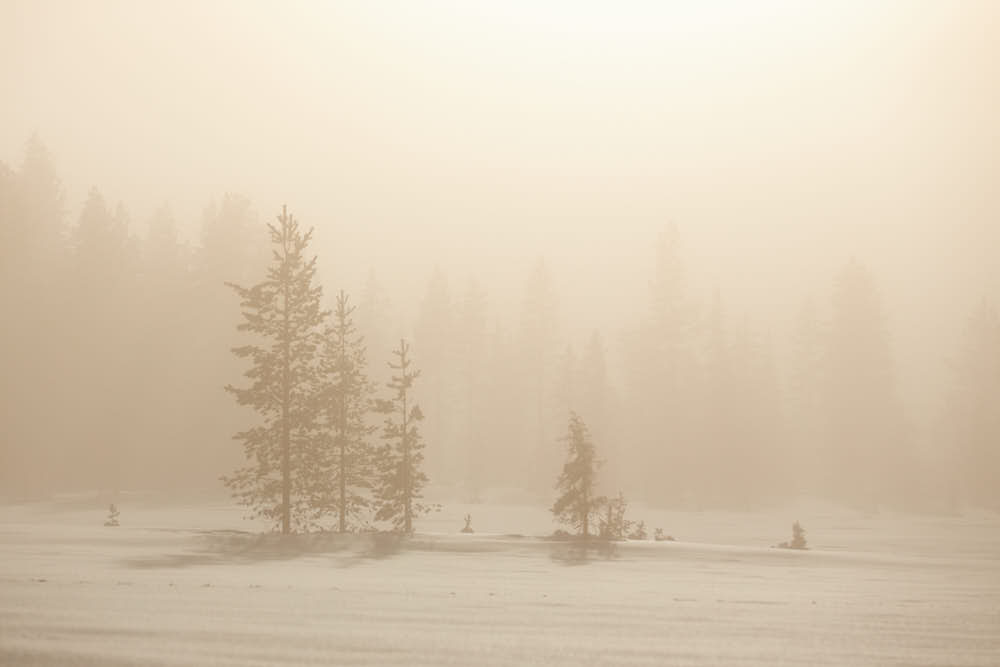 Winterlandschaft in Finnland, Lappland, Naturfotografie von olbor Oliver Borchert aus Schwerin