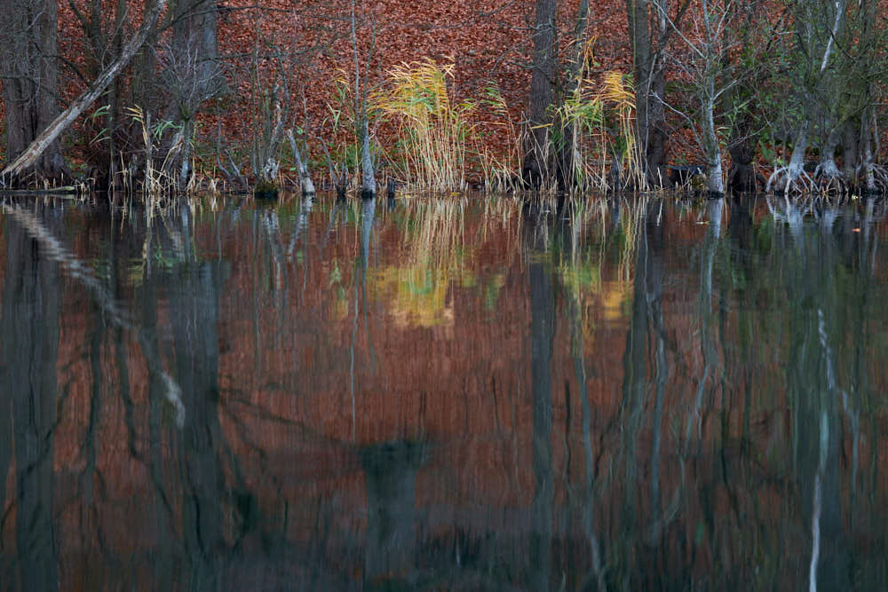 See im Herbst, Naturfotografie von olbor Oliver Borchert aus Schwerin