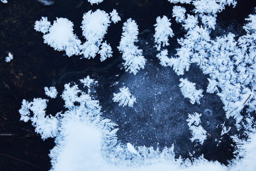 Eis, Naturfotografie von olbor Oliver Borchert aus Schwerin