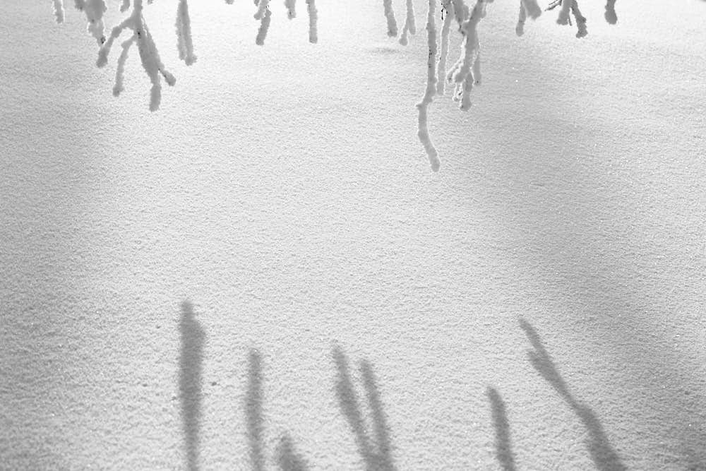 Winter, Naturfotografie von olbor Oliver Borchert aus Schwerin