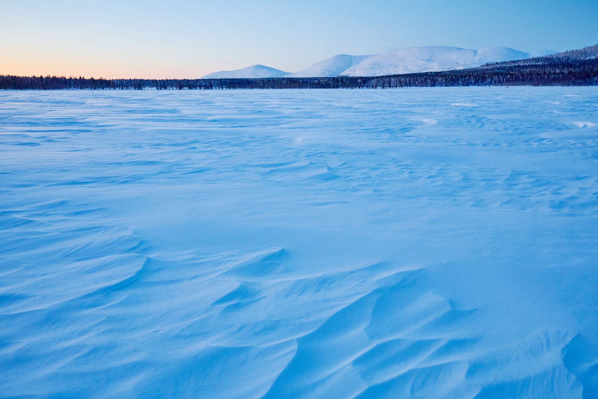 OB_656_1_NA1001@2000px