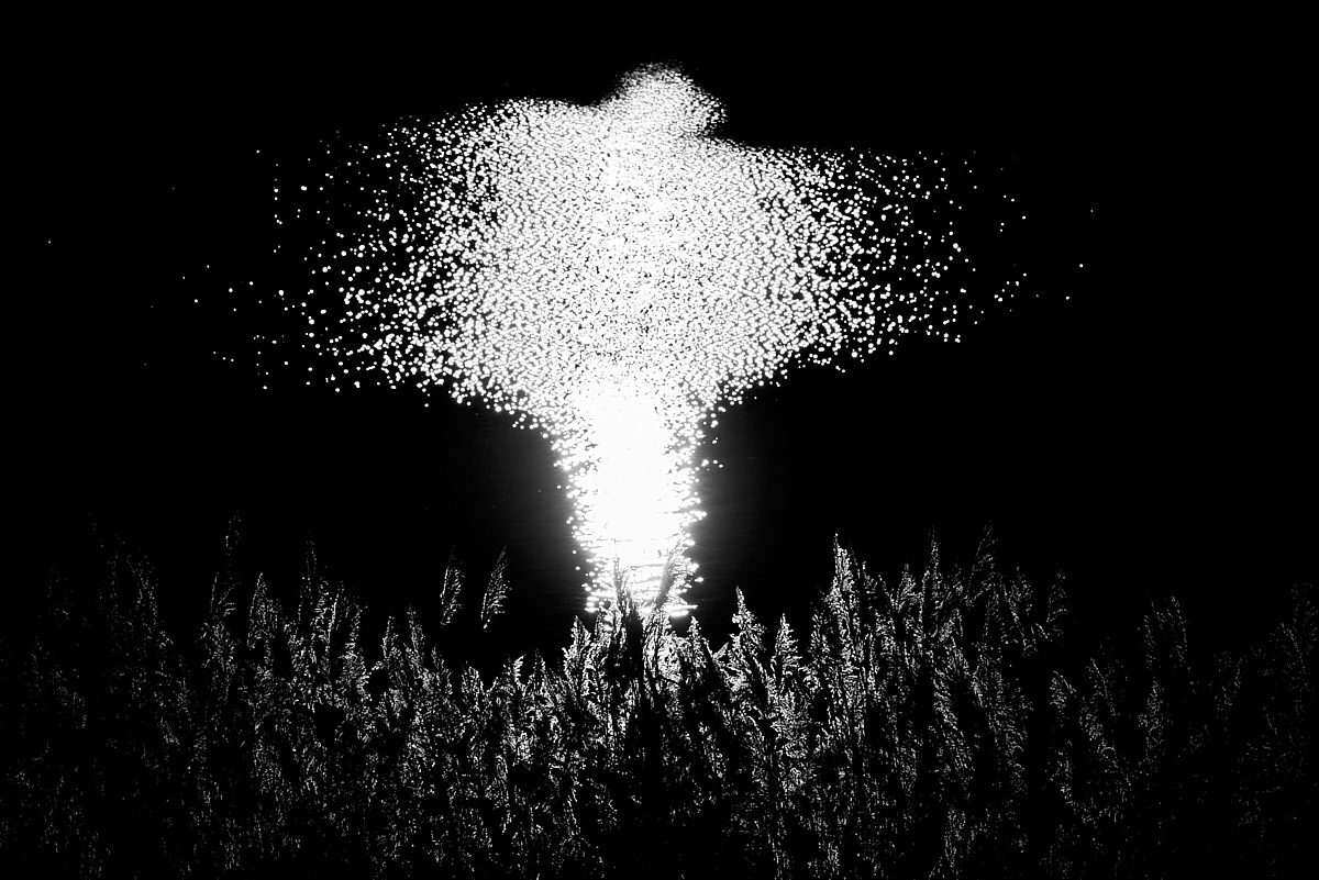 3_HA3581(c)Oliver_BorchertWEBSITE