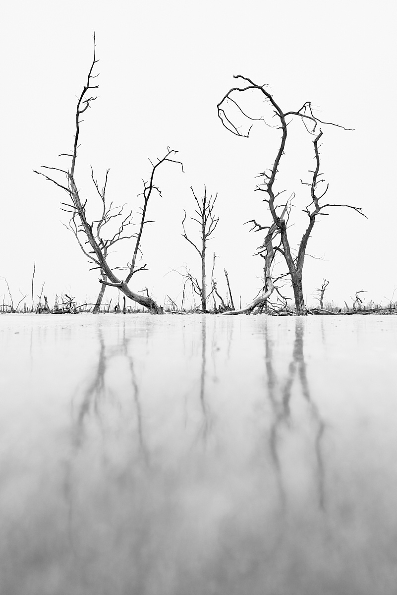 3_HA6883(c)Oliver_BorchertWEBSITE