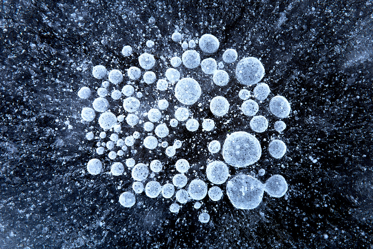 3_HA7001(c)Oliver_BorchertWEBSITE