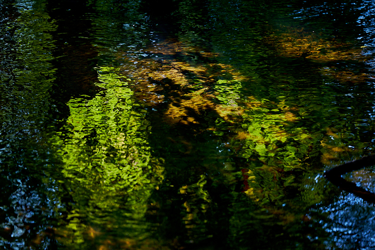 3_NA3642(c)Oliver_BorchertWEBSITE